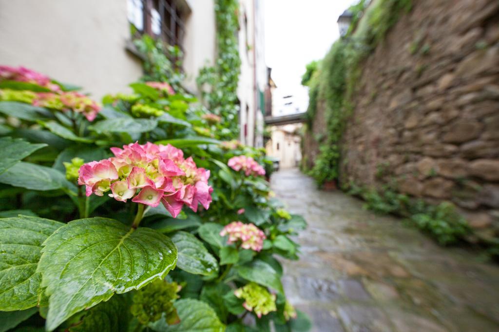 San Michele Al Borgo Bed & Breakfast Castiglion Fiorentino Exterior photo